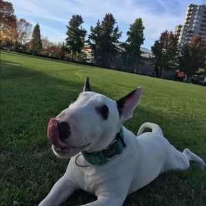 Meet your Posher, Rowan